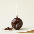 Double Fudge Cake Pop